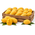 Fresh Banganapalli Mango Pack - Quicklly