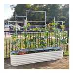 Garden Beds - Vegega