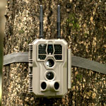 GardePro E8 2.0 WiFi Camera : GardePro