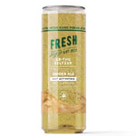 Ginger Ale Nano | Helloseltzer.com