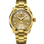 Gold Bracelet Automatic Men's Watch : WatchNation