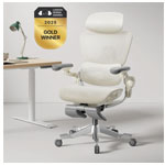 H2 Pro Ergonomic Office Chair - Hinomi