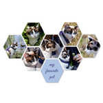 Hexagon, Wall Circle : Je-foto-op-canvas