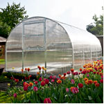 High Tunnel Greenhouse : Luxvinduer.dk