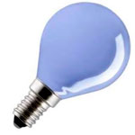 Incandescent Bulb Globe Bulb - Gloeilampgoedkoop.nl
