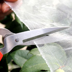 Insect Barrier Netting For Garden | Gardenport