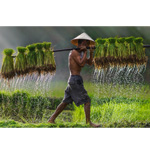Inside Vietnam : Explore.co.uk