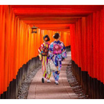 Japan Uncovered - Wendywutours