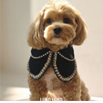 Jascqueline Pet Jacket - LukoLukoPets