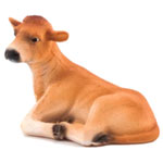 Jersey Calf - Mojo Fun