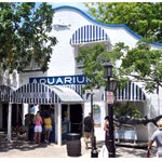 Key West Aquarium | Trusted Tours And Attractions