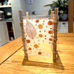 Kids Craft Kit Subscription : Craftiosity
