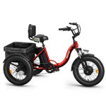 Lava Electric Tricycle , Qronge.com