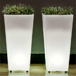 Led Plant Trough Arriba | Dublino Moebel