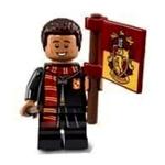 LEGO Harry Potter Series : TheMinifigureStore