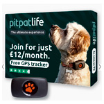 Life Membership - PitPat