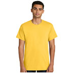 Light Cotton Tee : Vividcustoms.com