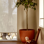 Linen Roller Shades - Easeease Curtains