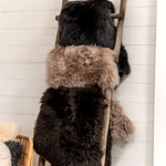 Livia Sheepskin - Shepherd Of Sweden