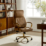 Ludwig Ergonomic Office Chair | Hulalahome.com