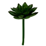 Mainstays Artificial Succulent Echeveria : Prices