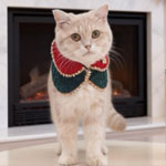 Merry Festive Pet Jacket : LukoLukoPets
