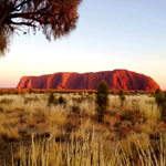 Outback Rainforest & Metropolis Trip - Berge And Meer
