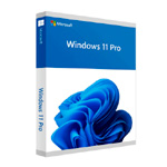 Microsoft Windows 11 Pro | Lizenzexpress