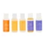 Mini Body Essentials Bundle : Chanceofsunny.com