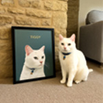 Minimalist Custom Pet Portrait : Purrandmutt.com