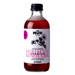 MIX Pack 12 Bottles 250 ml - Mun Kombucha