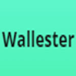 Monthly Wallester Plan | Business.wallester.com