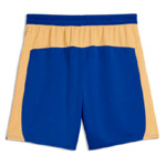 Monumental Puma Shorts | PlanetFoot
