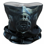 Multifunctional Face Wraps - Spiral Direct
