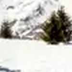 Mustang Sports 1650 : Snowrental Mustang Sports 1650 : Snowrental