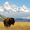 National Park Wonders : Trafalgar.com