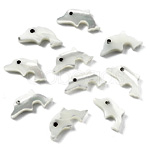 Natural Trochid Shell - Cobeads