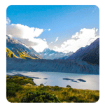 New Zealand Automatic Activation - Mede.cc