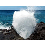 Oahu Ultimate Private Tour : Ultimatecircleislandtour
