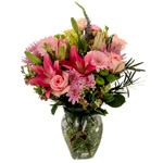 One Time Garden Collection : EnjoyFlowers