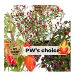 Organic Plants - Pepperworld Hot Shop