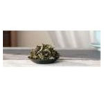 Organic Yunnan White Tea - Teavivre 