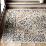 Oriental Area Rug - Wayfair