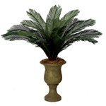 Outdoor Artificial Cycas Palm Cluster : ArtificialPlantsAndTrees