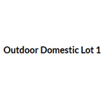 Outdoor Domestic Lot 1 Parking Lot : Peachy Airport Parking