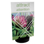 Outdoor Rigid Panel Holder : DisplayWizard