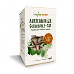 Oyster Mushroom Lucky Mushroom Set - Meine Ernte