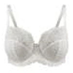 Panache Envy Full Cup Bra | Belle Lingerie