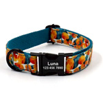 Personalized Pet Collars - ITalkPet