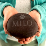 Personalized Pet Pebble : Letterfest.com